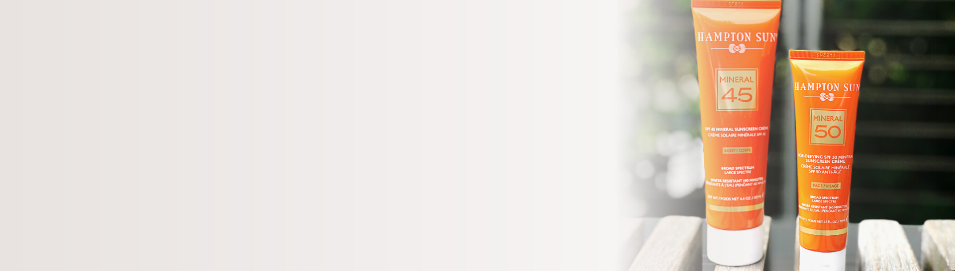 hampton sun banner